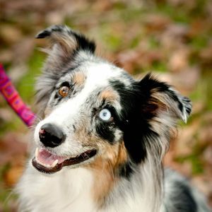 Meet your Posher, Elisabeth